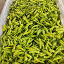 White Wrinkled Xiaomila Chili Pepper Seeds, 1800 Seeds