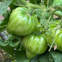 'Dwarf Stone Creek Heart' Tomato Seeds, 5 Seeds