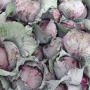 Zifeng Purple Cabbage Seeds, 1g