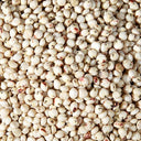'Bainuo No.1' White Waxy Sorghum Seeds, 40g