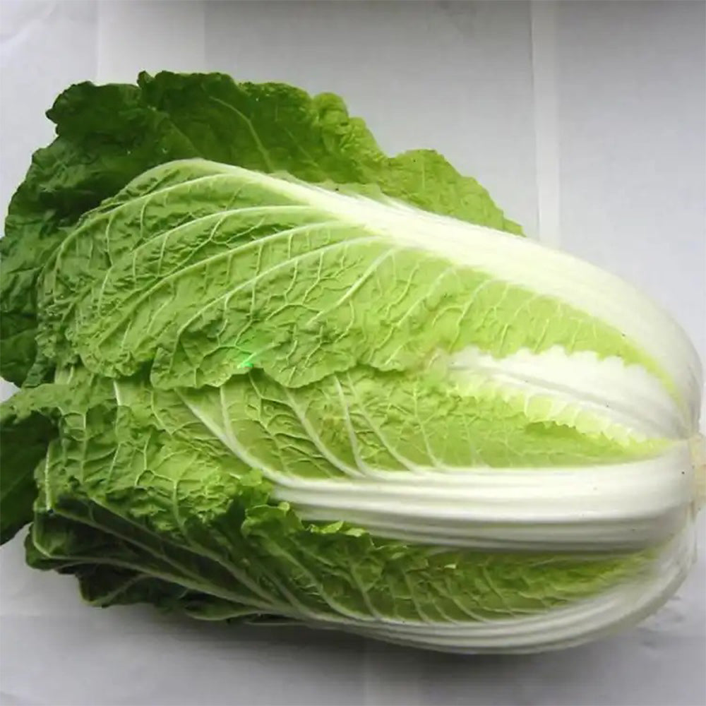 Gaokang 78 Chinese Cabbage Seeds, 5 × 5g Bags