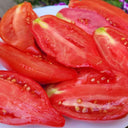 Sultan Pink Shoes Tomato