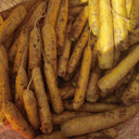 Dutch Yellowstone Carrot Seeds, 1g