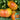 Hillbilly Potato Leaf Tomato, 15 Seeds