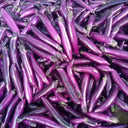 W963 Red Gold Purple-Red Long Eggplant, 5g