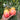 1028 Big Marshmallow Tomato, 5 Seeds