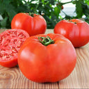 Venice F1-199 Tomato, 5 Seeds