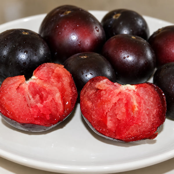 204 Amethyst Heart Tomato, 5 Seeds