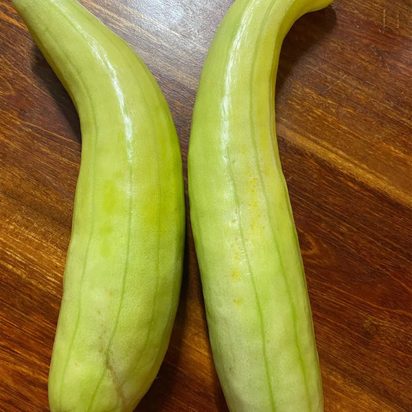 Green-veined Oriental Pickling Melon Seeds, 50 Seeds
