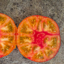 944 P20 Beauty King Tomato, 5 Seeds