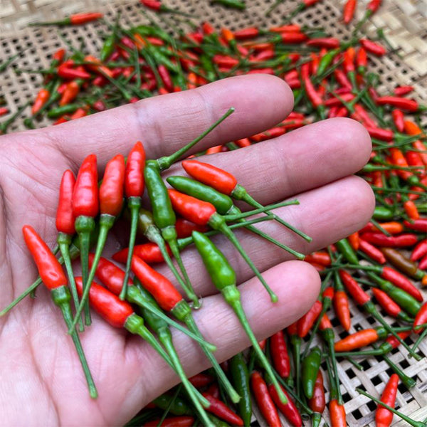 Bird's Eye Chili, 25 Seeds