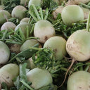 'Xinlimei' Red Heart Radish Seeds, 10g