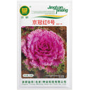 Kale Seeds, Garden Ornamental Vegetables Flowers, Edible, Pack of 1