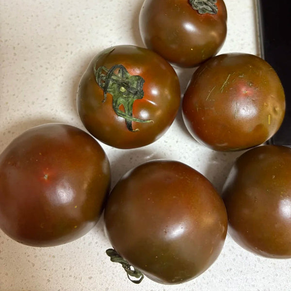 Chocolate Tomato, 100 Seeds