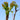 Aralia Shoots, 100 Seeds