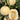 White Honey Jar Melon Hybrid Seeds, 30 Seeds