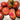 593 Dwarf Wild Fred Tomato, 5 Seeds