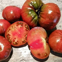 593 Dwarf Wild Fred Tomato, 5 Seeds
