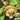 Hezhichun Turk's Turban Pumpkin, 10 Seeds