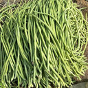 Jiemei Xiabao No. 2 Cowpea Seeds, 20g