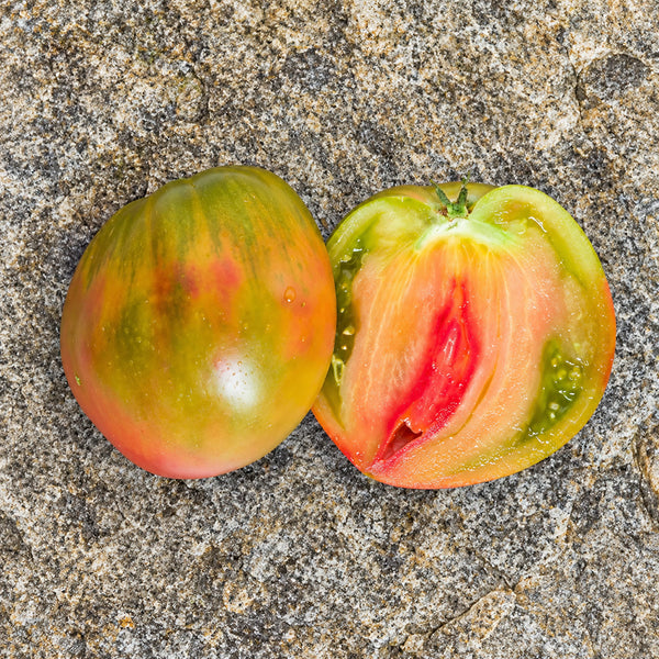 341 Taiga Tomato, 5 Seeds