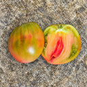 341 Taiga Tomato, 5 Seeds