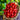 968 Red Date Tomato, 5 Seeds