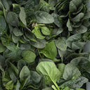 'Mobao 018' Prostrate Spinach Seeds, 20g