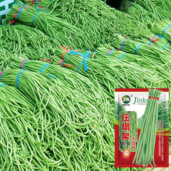 Small Five-leaf Yardlong Bean Seeds, 5 × 5g Bags