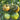 Xingchi Big Strawberry Tomato, 10 Seeds