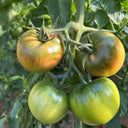 Xingchi Big Strawberry Tomato, 10 Seeds