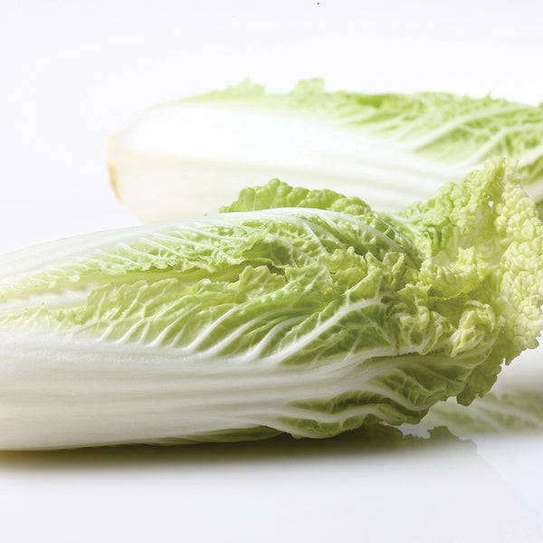 Jinsi White No. 1 Pak Choi Seeds, 10g