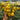 853 Spotlight Tomato, 5 Seeds