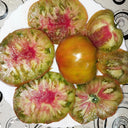 1093 Mossy Oak Tomato, 5 Seeds