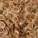 Parsnip, 50 Seeds