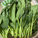 Jiemei Taoshan Chinese Broccoli Seeds, 10g