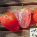 909 Wolford Wonder Tomato, 5 Seeds