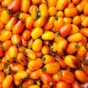 42 Golden Hour Tomato, 5 Seeds