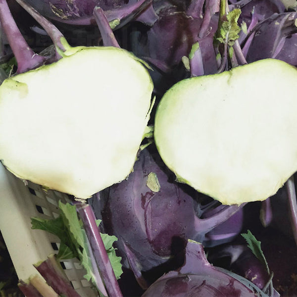 Jinchuan Purple Crown Kohlrabi Seeds, 10g