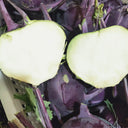 Jinchuan Purple Crown Kohlrabi Seeds, 10g