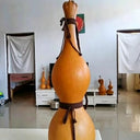Extra-large Lotus-head Gourd, 2 Seeds