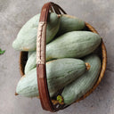 Golden Chestnut Noble Pumpkin, 10 Seeds