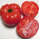 259 Sweet Adelaide Tomato, 5 Seeds