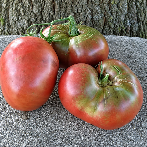 134 Blackberry Heirloom Tomato, 5 Seeds