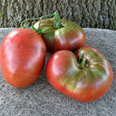 134 Blackberry Heirloom Tomato, 5 Seeds