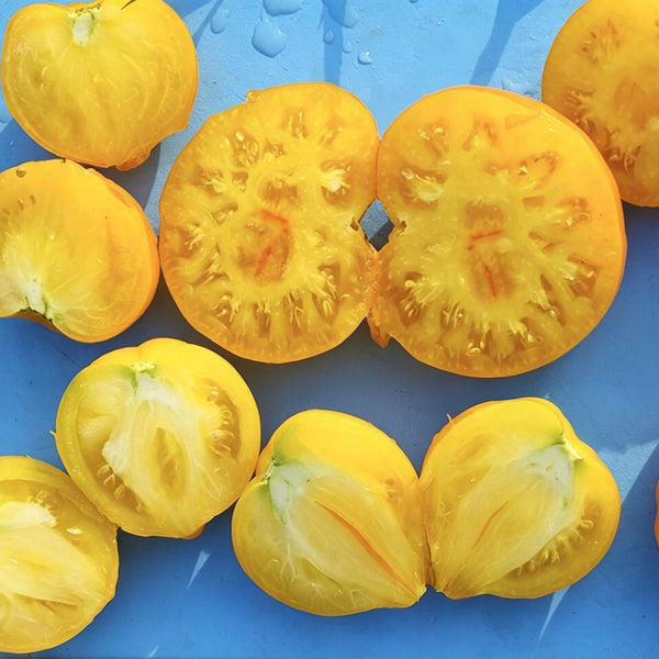 639 Anna Banana Russian Tomato, 5 Seeds