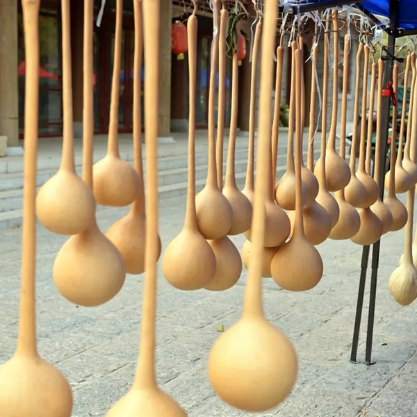 Long Handle Gourd, 10 Seeds