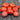 1121 Early Mayflower Tomato, 5 Seeds