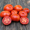 1121 Early Mayflower Tomato, 5 Seeds