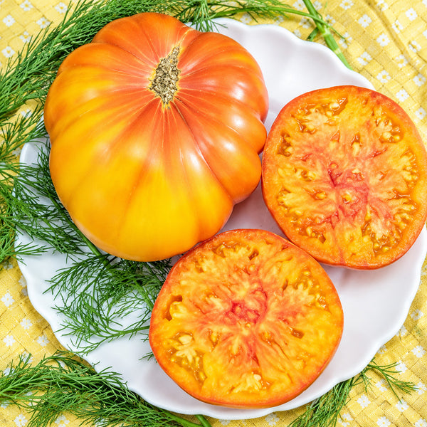 97 Honey Giant Tomato, 5 Seeds